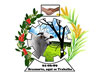 Logo Brasnorte/MT - Prefeitura Municipal