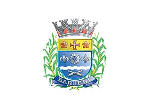 Logo Barueri/SP - Instituto de Previdência Social dos Servidores da cidade de Barueri
