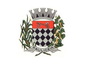 Logo Pauliceia/SP - Câmara Municipal