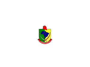 Logo Antônio Prado/RS - Câmara Municipal