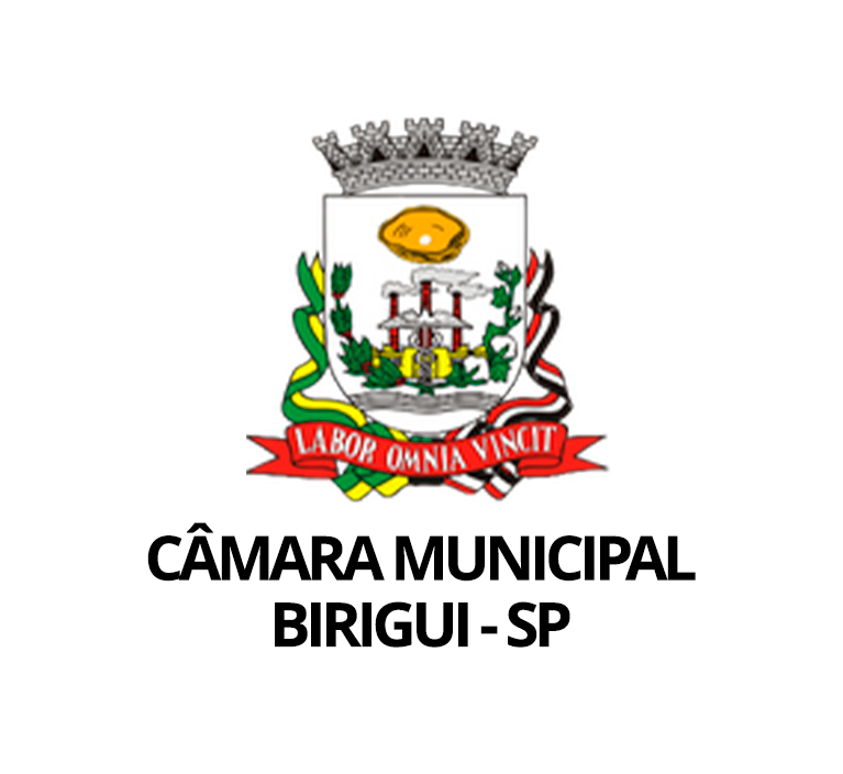 Logo Birigui/SP - Câmara Municipal