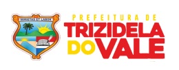 Trizidela do Vale/MA - Prefeitura Municipal
